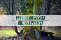 okładka albumu przedstawia konar drzewa porośniętego mchem z tytułem Park Grabiszyński. Miejska Puszcza
