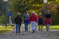 zdjęcie przedstawia seniorów ćwiczących nordic walking w parku