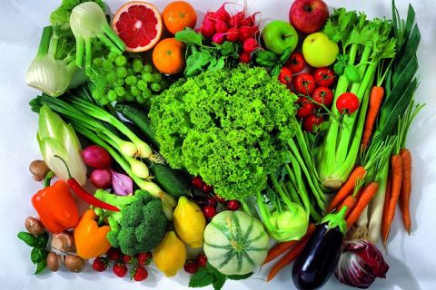 ilustracja przedstawia różnorodne warzywa - źródło zdjecia pixabay