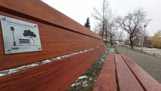 Na zdjęciu widać miejską ławkę