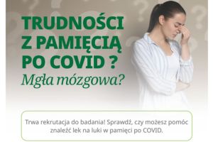 Grafika do projektu Synexus. 